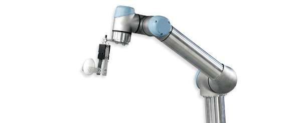 Cibus Tec Food Pack e Robot