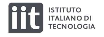 Istituto Italiano di Tecnologia