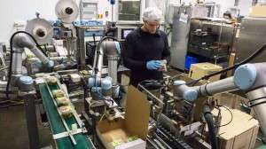 robotica settore produttivo