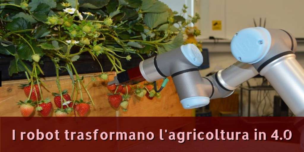 robot raccolta frutta